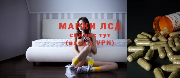 индика Магадан