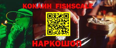 spice Кингисепп