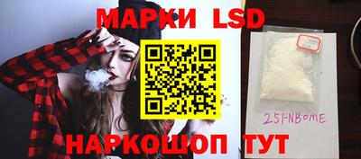 spice Кингисепп