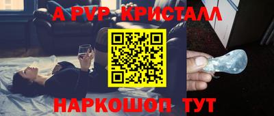 spice Кингисепп