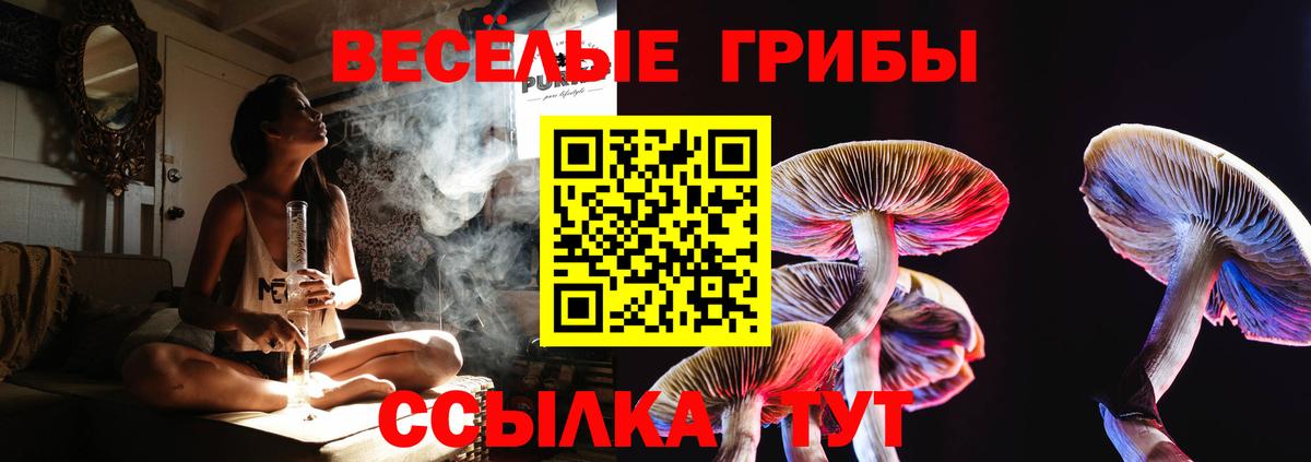 Галлюциногенные грибы Psilocybe Лянтор