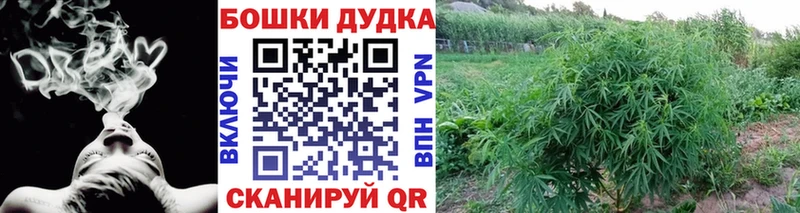 Бошки марихуана SATIVA & INDICA  Лянтор 