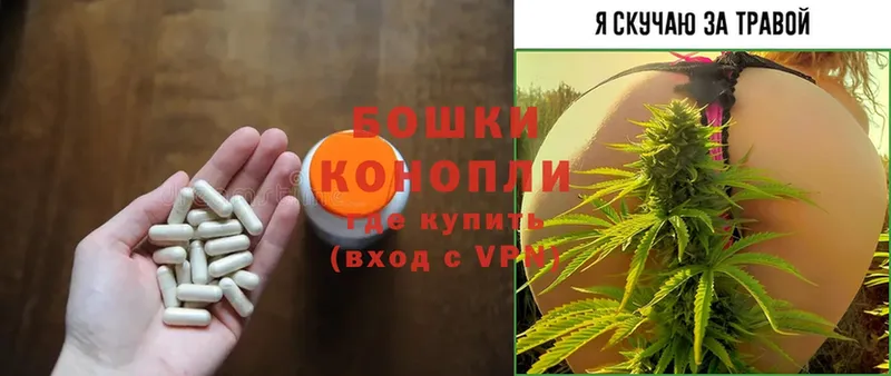 Конопля Ganja  Лянтор 